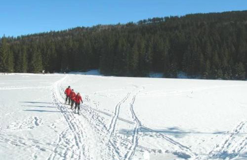 Apartment Wildfeuer by Interhome - Foto 32