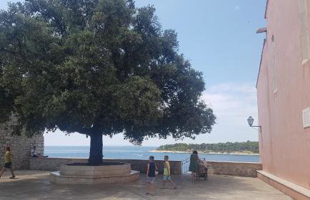 Apartment Lavanda garden - Foto 35