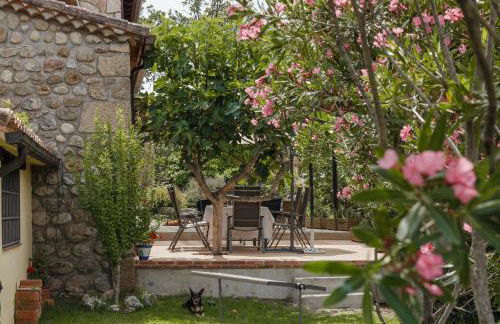 Casa Rural en Candeleda con piscina y un maravilloso jardín - Foto 37