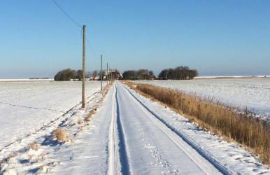 Tetenshof für Pferdeliebhaber - Foto 12