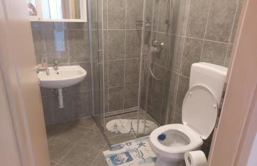 Apartman Jovici - Foto 17