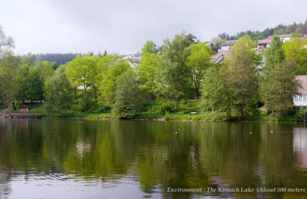 Entire House in Schwarzwald with mountain view, private Sauna, Gym, Garden and Terraces - Foto 49