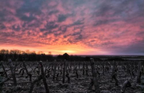 La maison de Lucien, gîte au cœur du vignoble Chablisien - Foto 44