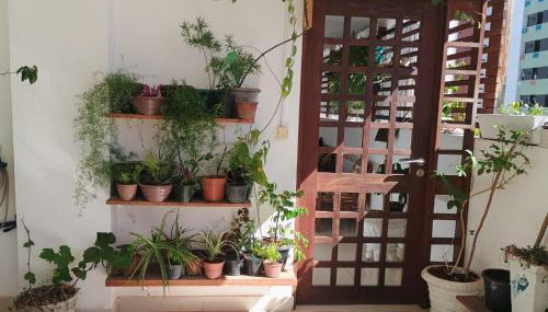 Cantinho Aconchegante 305 Praia Tambaú - Foto 2