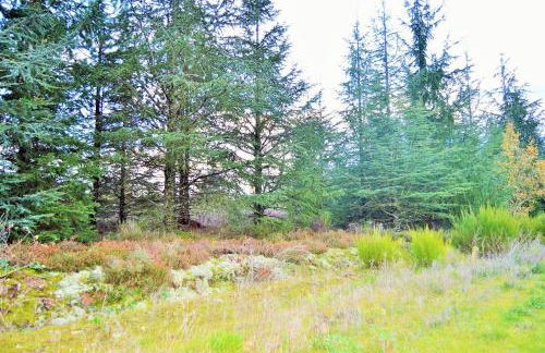 Le Cottage Bien-Etre Jacuzzi Piscine Chauffée Privée du Tarn entre Toulouse et Albi & Les Cottages du Tarn - Foto 67