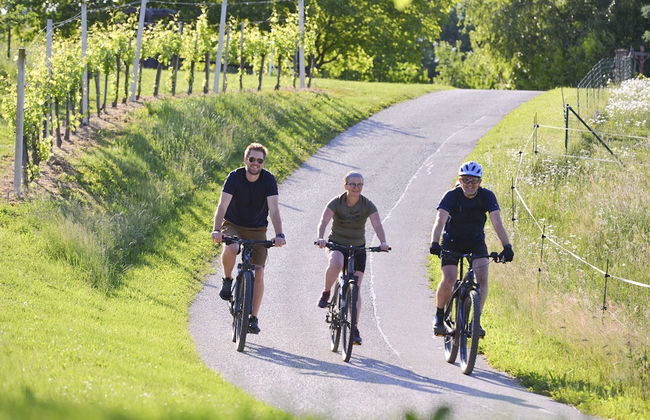 Apartments Vinska Trta - Photo 33