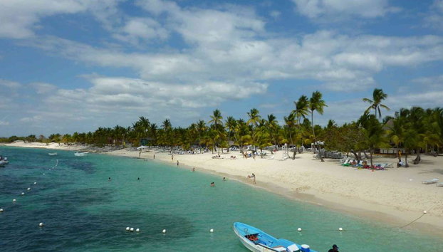 Snorkeling adventure at Catalina Island - Full-Day Tour - Foto 4