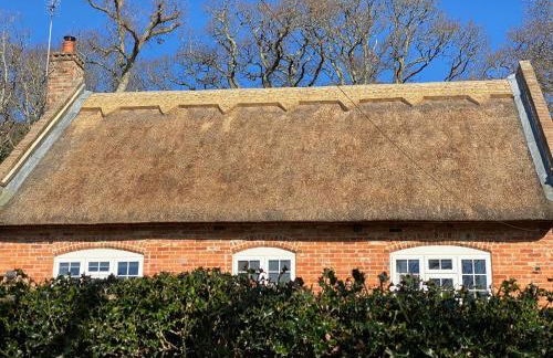 Little Woodside a beautiful New Forest self contained private luxury annexe - Foto 46