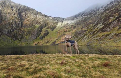 3 Bed in Tywyn oc-b32570 - Foto 30