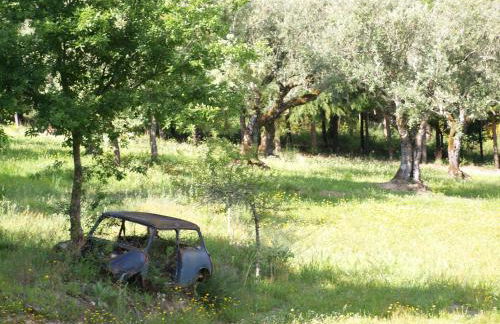 Casa Branca - Foto 19