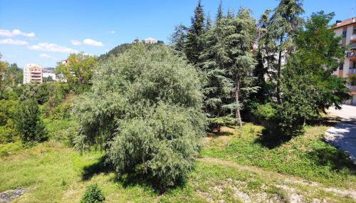 Villa Center appartamenti nel verde in città - Foto 4, Garden