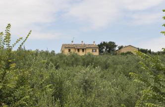 Al Crepuscolo Agriturismo - Foto 21