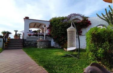 Dimorra Sun and Relax - Photo 39