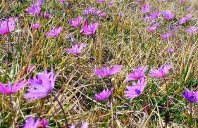 Cottage in montagna Montemonaco - Foto 49