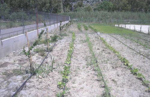 Kryoneri village - Photo 32