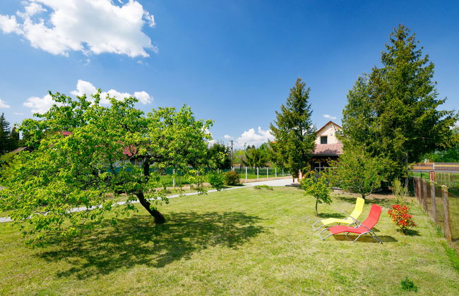 Pear Trees - Foto 28