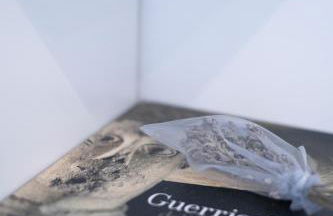 Rosmaris - Villa nel verde - Foto 44