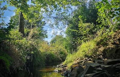 Petite maison 40M² à PAIMPONT (35) - Foto 5