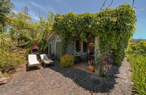 Quinta Devónia III - Nogueira by An Island Apart - Foto 87