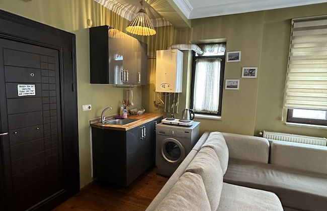 Green Bird Suit - Foto 37