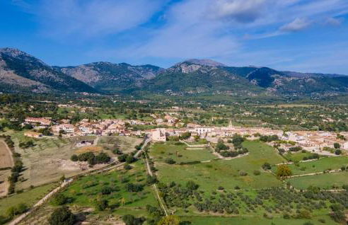 Duplex Can Roses - Photo 32