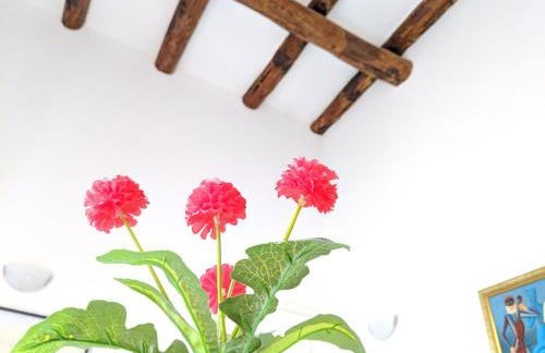 B&B San Carlo - Photo 11