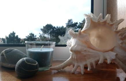 Beach House - Between Porto and Viana do Castelo - Foto 18