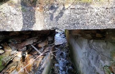 Canastro Nature Spot - Foto 46