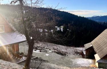 Przysiółek Flądrówka - Dom na odludziu z widokiem na Gorce i Tatry - Foto 42