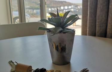 The Haven - Photo 26