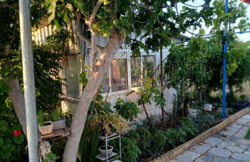 Casa de campo en finca La Guindilla - Foto 67