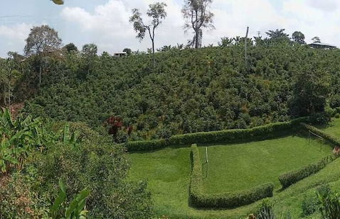 Entre Guaduas - Photo 39