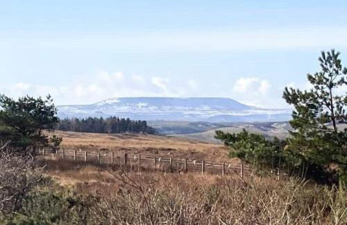 The Smithy - Foto 32