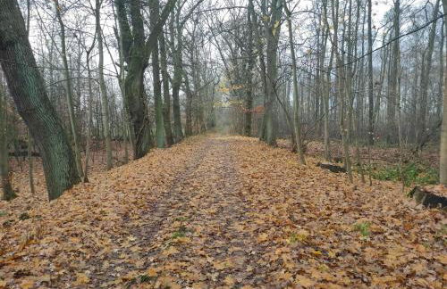 Ferienhaus Erna - Foto 50