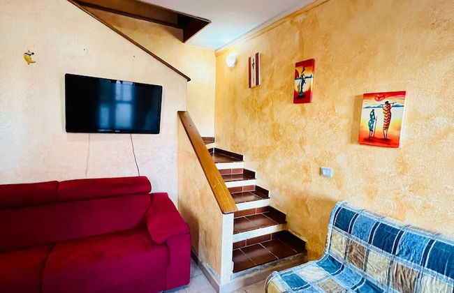 Badualga Pink - Foto 15