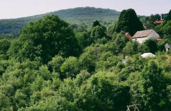 Apartman Peregrinus - Foto 36