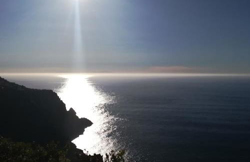 Sunset La Palmita - Foto 20