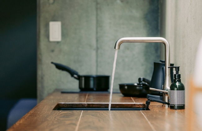 tanegashimaArakibekkan - Foto 56