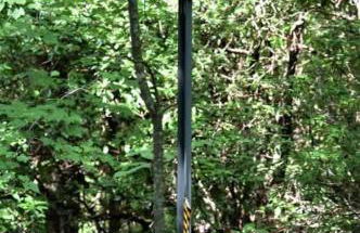 Couples Carriage House Retreat-Wineries & Hiking - Foto 20