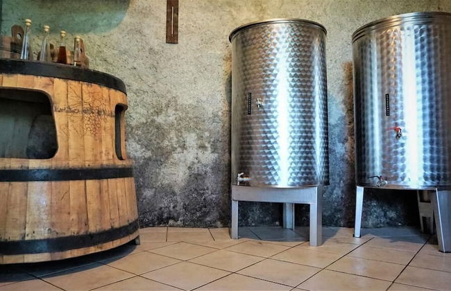 Vineyard Cottage Zajc - Photo 12