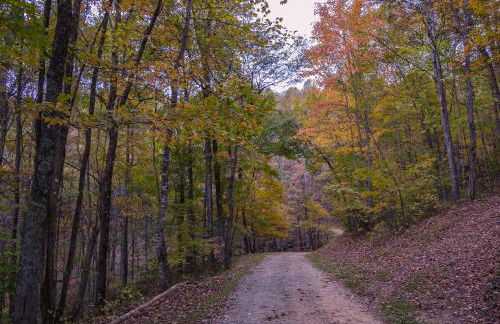 Blue Ridge Mountain Retreat - 30 acres to explore & VIEWS, Sleeps 15 - Foto 39