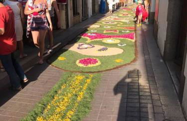 Can Senio 1 - Foto 24