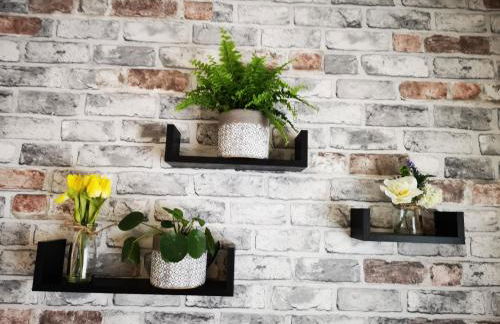 Mycosy 605 - Foto 10