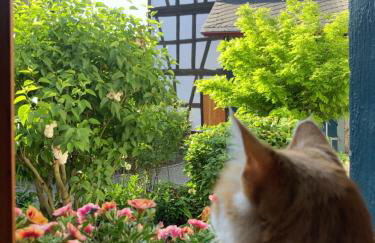 Gut Bunt Ferienhaus - Photo 18