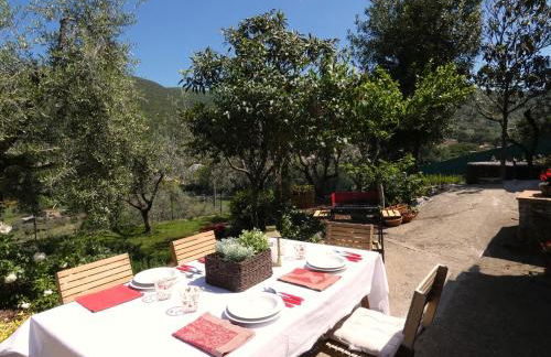 SCAPPO IN UMBRIA, la casa di Giuliana - Foto 8