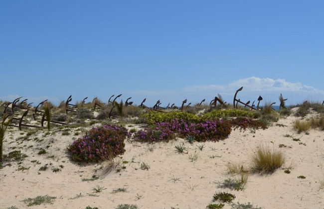 Nice Apartment in Santa Luzia - Foto 12