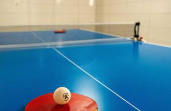 Willa Łysa Góra Limanowa - Photo 15