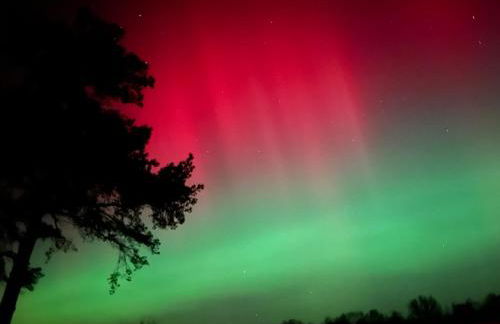 SandDorn 1 und 2 - Foto 75