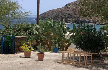 Sea view Lefkes - Foto 38