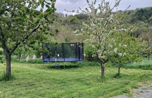 Les Gites de Louisette 1886 - Foto 33